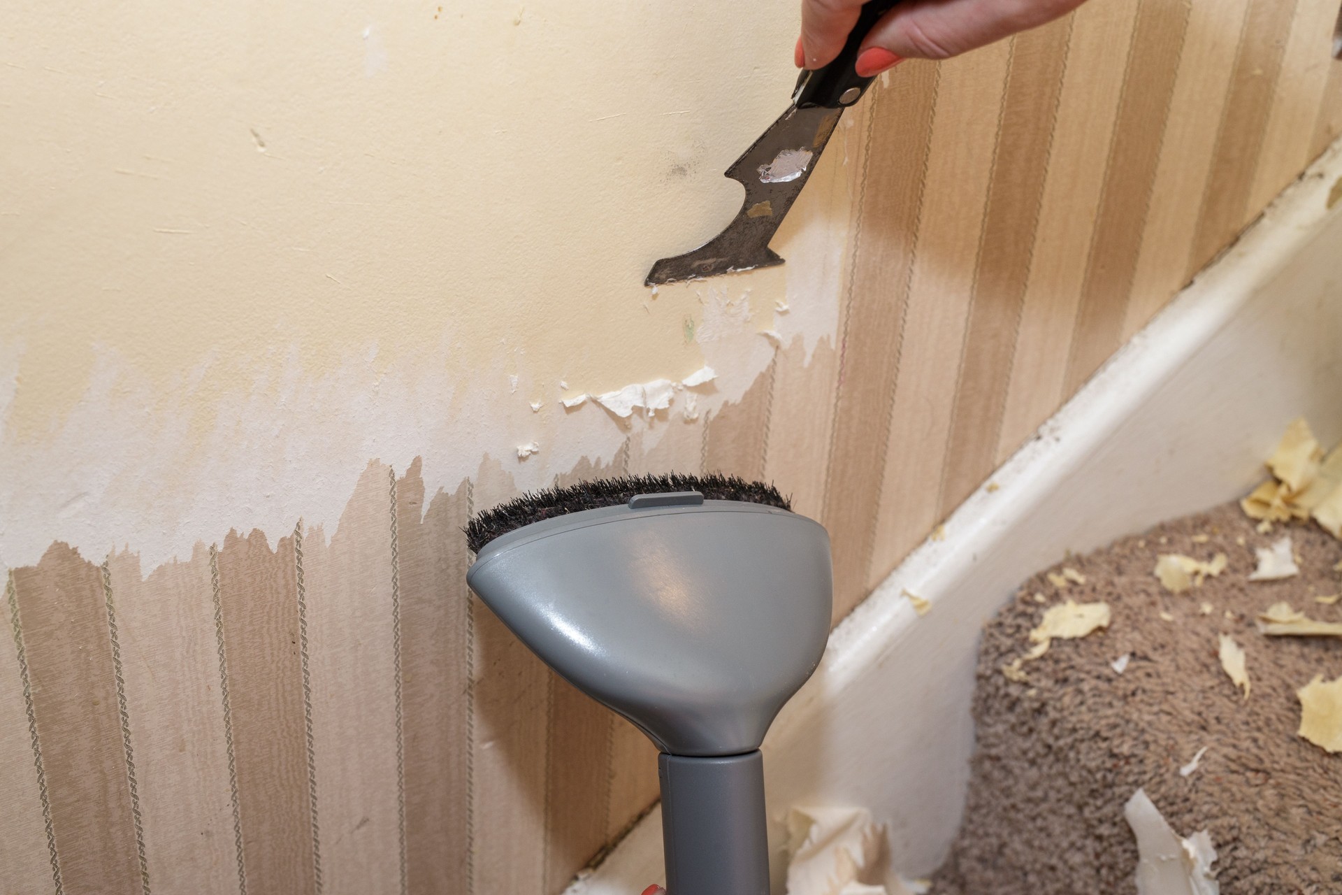 Steaming Wallpaper